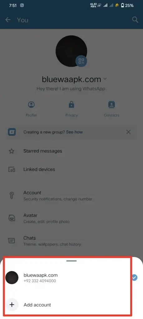 Add second account option in blue WhatsApp plus