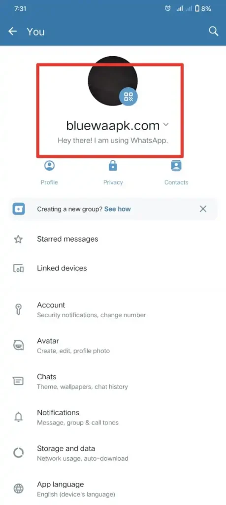 click on profile name to add second account in blue WhatsApp plus APK- profile setting options