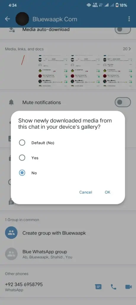click on no option to hide media from gallery in blue WhatsApp plus