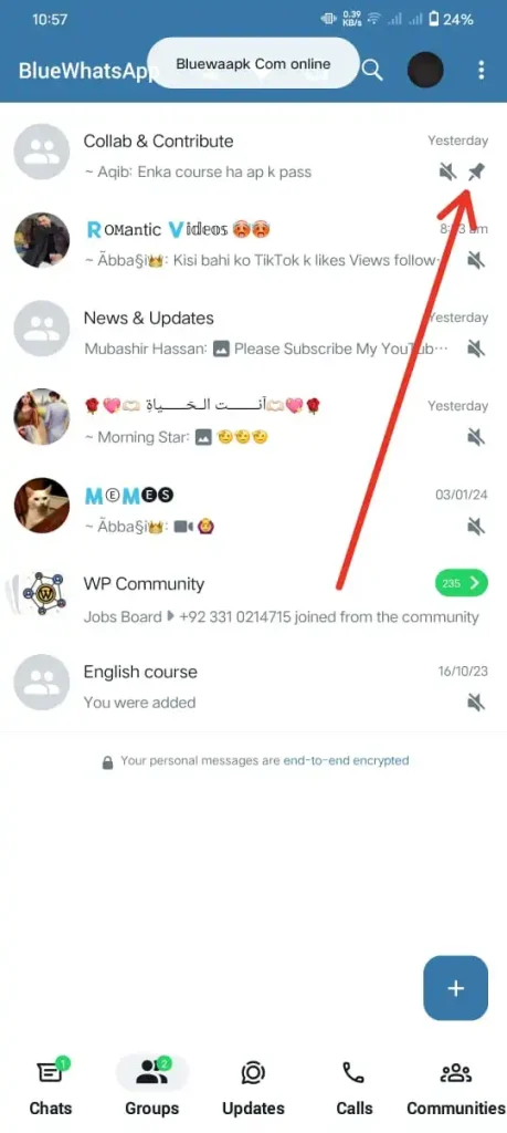 pin group after tap on the pin icon in blue WhatsApp plus- group pin method