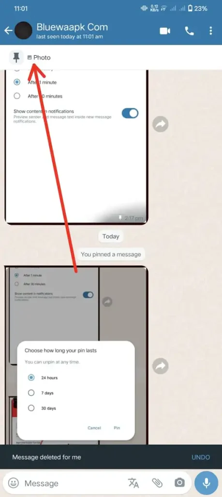 after pin the chat pin message will appear at the top of the chat-steps to pin a chat in blue WhatsApp plus